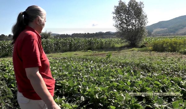 Pasiune şi voinţă duse la extrem – agricultură la 100 de km! (VIDEO-Galerie FOTO) Pasiune şi voinţă duse la extrem – agricultură la 100 de km! (VIDEO-Galerie FOTO)