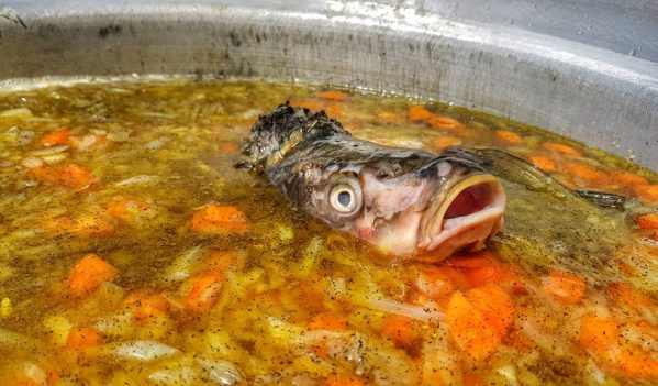 Două zile dedicate pescuitului și gastronomiei pescărești la Câmpia Turzii Două zile dedicate pescuitului și gastronomiei pescărești la Câmpia Turzii