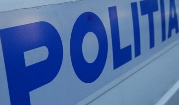 Tablouri, flori de mină și monede, confiscate la Târgul de icoane și antichități din Negreni Tablouri, flori de mină și monede, confiscate la Târgul de icoane și antichități din Negreni